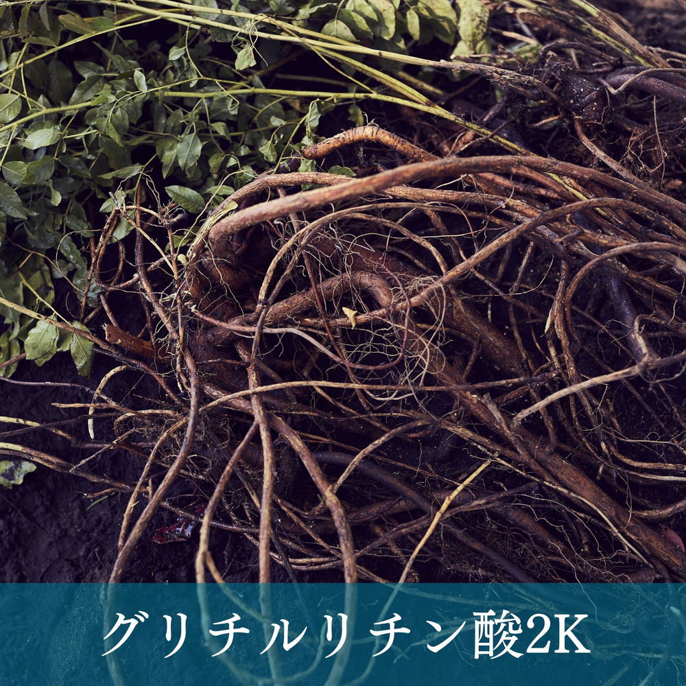 APG Line】化粧水 – ラビプレショップ