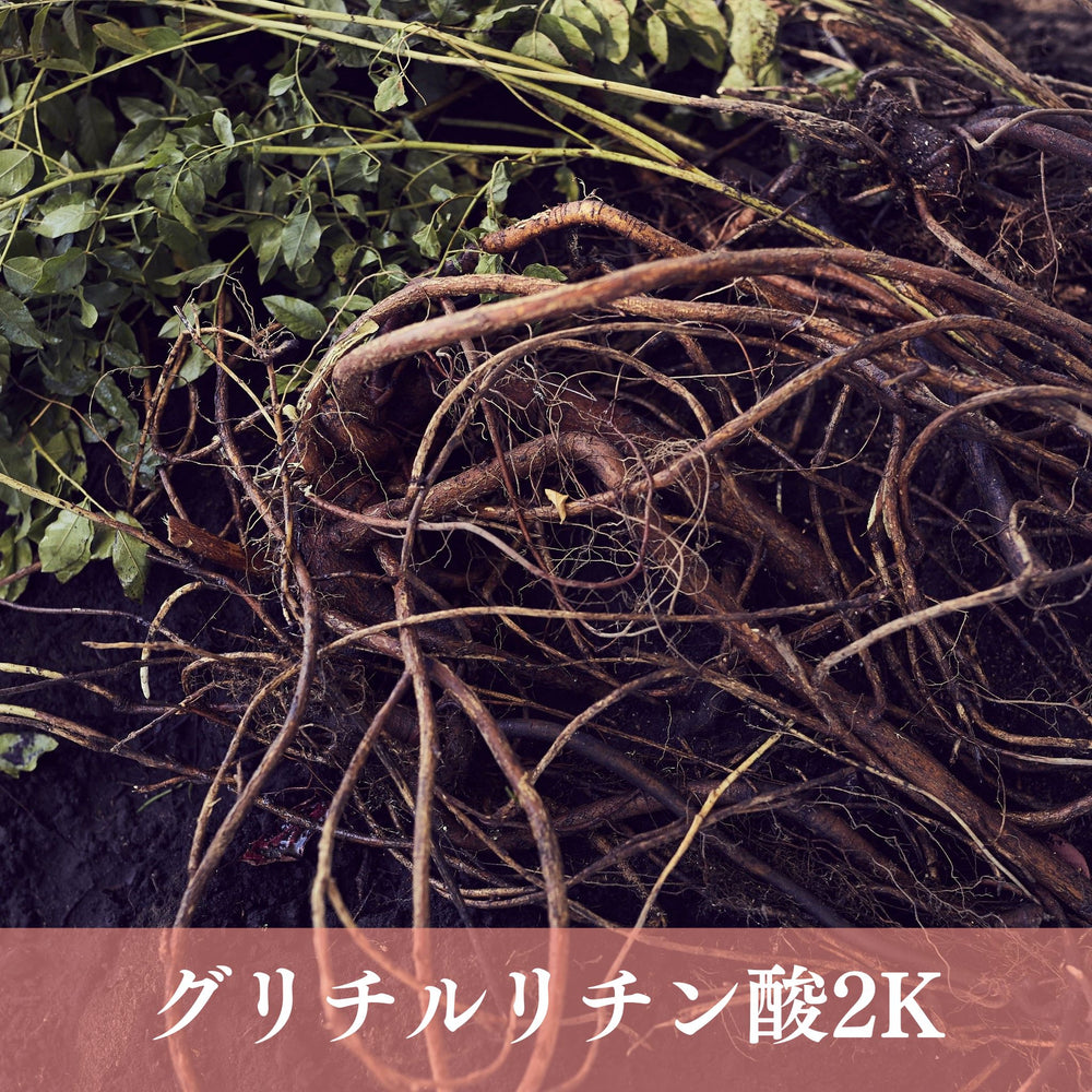 
                  
                    【RubyD series】スカルプ＆ヘアケア シャンプー
                  
                