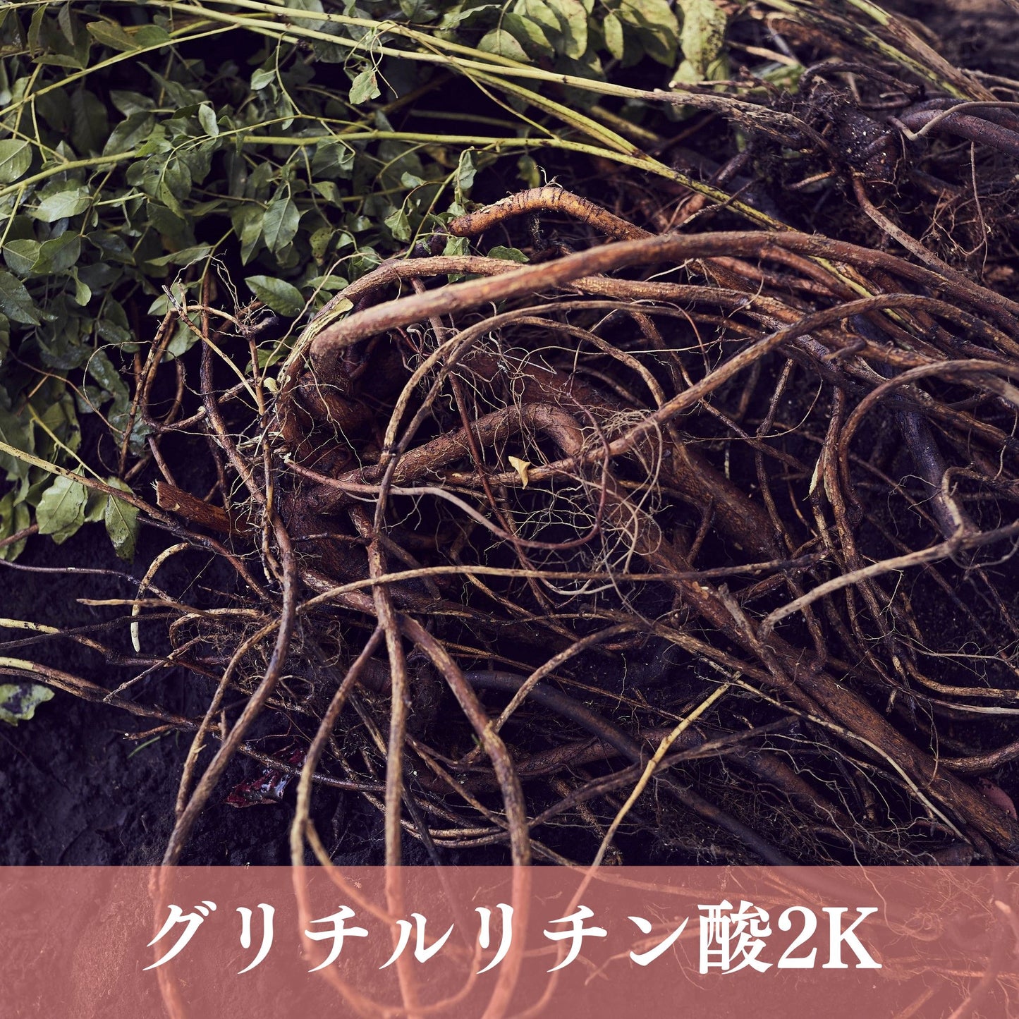 
                  
                    【RubyD series】スカルプ＆ヘアケア シャンプー
                  
                